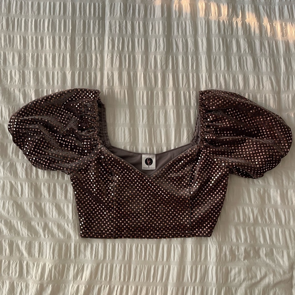 Velvet Puff Sleeve Sparkly Crop Top